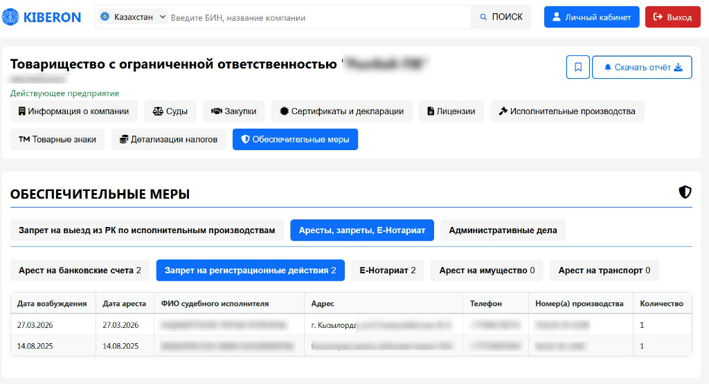 Раздел обеспечительных мер в Kiberon с данными об арестах, запретах и ограничениях компании