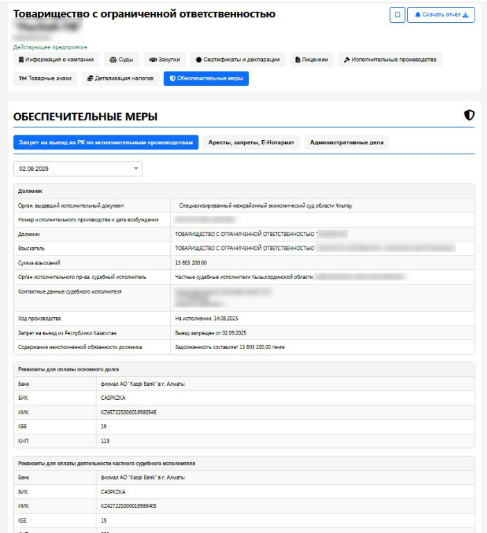 Детальная карточка обеспечительной меры с данными о запрете и исполнительном производстве в Kiberon
