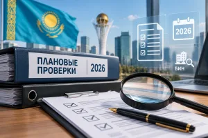 Плановые проверки бизнеса в Казахстане в 2026 году — проверка компании по БИН